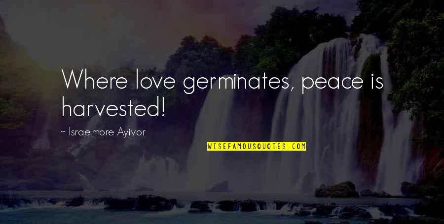Afugentar Morcegos Quotes By Israelmore Ayivor: Where love germinates, peace is harvested! Afugentar Morcegos Quotes By Israelmore Ayivor: Where love germinates, peace is harvested!