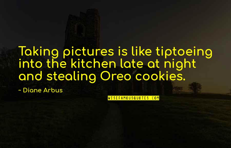 Afyouni Motasem Quotes By Diane Arbus: Taking pictures is like tiptoeing into the kitchen