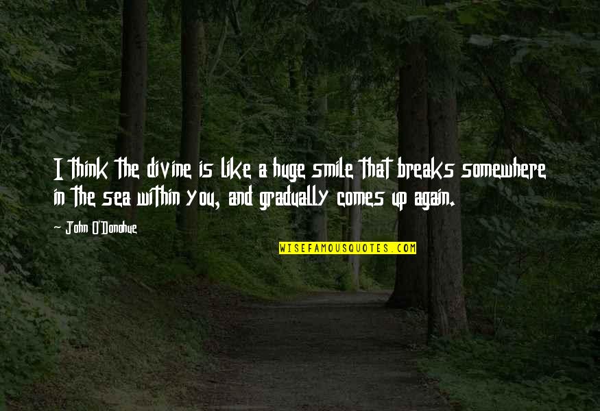 Again And Again Quotes By John O'Donohue: I think the divine is like a huge