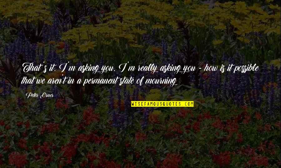 Against All Odds Sports Quotes By Peter Orner: That's it. I'm asking you, I'm really asking