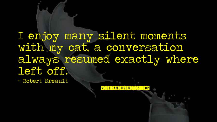 Against Valentine's Day Quotes By Robert Breault: I enjoy many silent moments with my cat,