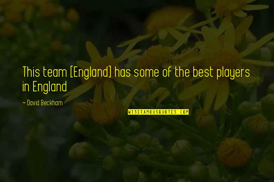 Agarikon Mushrooms Quotes By David Beckham: This team [England] has some of the best