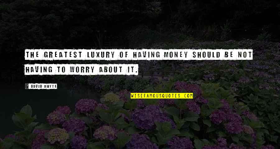 Agarrando Vuelo Quotes By David Whyte: The greatest luxury of having money should be