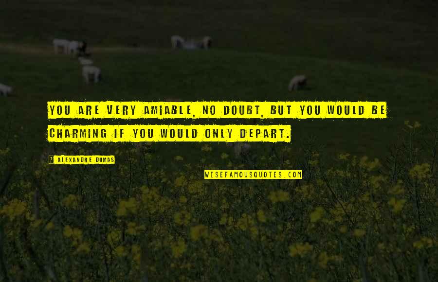 Agarrar La Toalla Quotes By Alexandre Dumas: You are very amiable, no doubt, but you Agarrar La Toalla Quotes By Alexandre Dumas: You are very amiable, no doubt, but you
