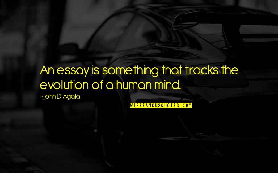 Agata Quotes By John D'Agata: An essay is something that tracks the evolution