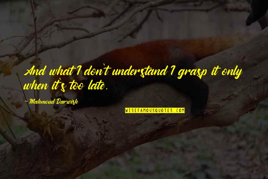 Agathering144 Quotes By Mahmoud Darwish: And what I don't understand I grasp it Agathering144 Quotes By Mahmoud Darwish: And what I don't understand I grasp it
