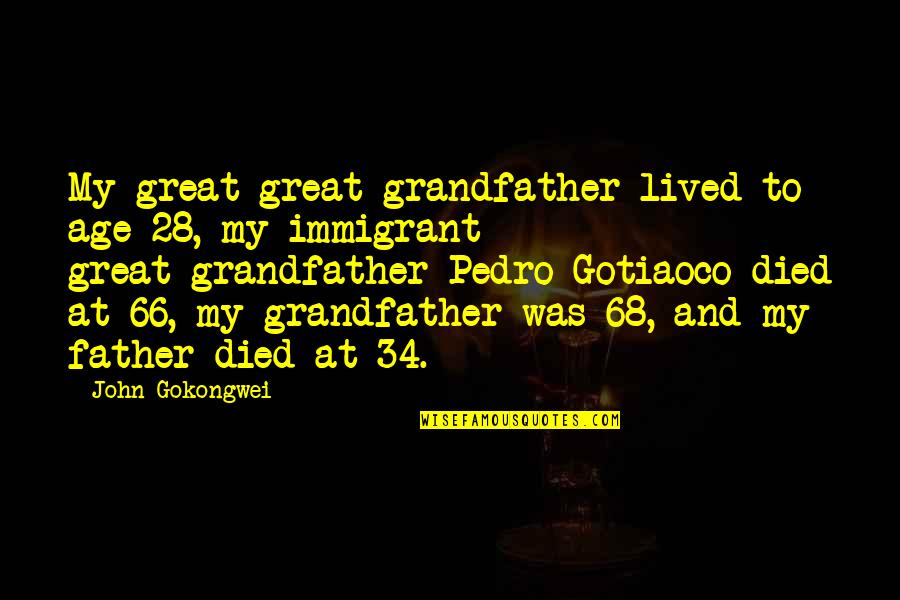 Age 28 Quotes By John Gokongwei: My great-great-grandfather lived to age 28, my immigrant