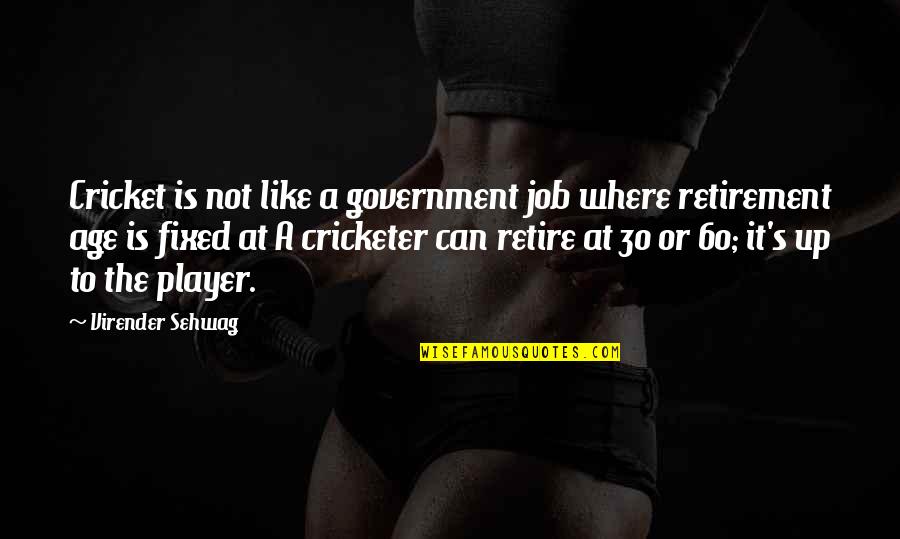 Age 30 Quotes By Virender Sehwag: Cricket is not like a government job where Age 30 Quotes By Virender Sehwag: Cricket is not like a government job where