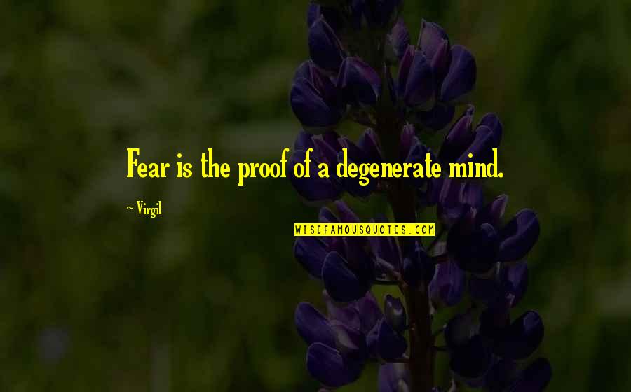 Age 34 Birthday Quotes By Virgil: Fear is the proof of a degenerate mind.