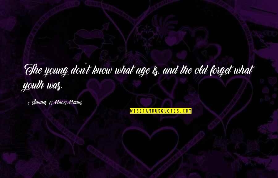 Age And Education Quotes By Seumas MacManus: The young don't know what age is, and Age And Education Quotes By Seumas MacManus: The young don't know what age is, and