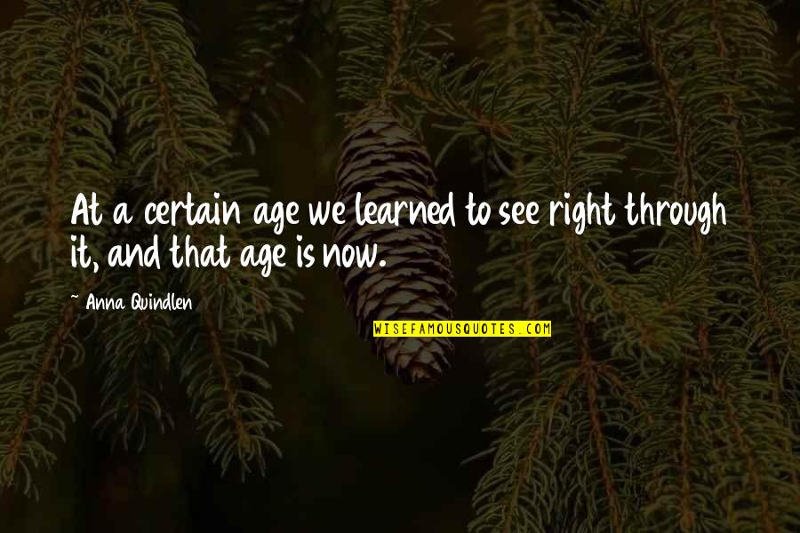 Age Getting Older Quotes By Anna Quindlen: At a certain age we learned to see