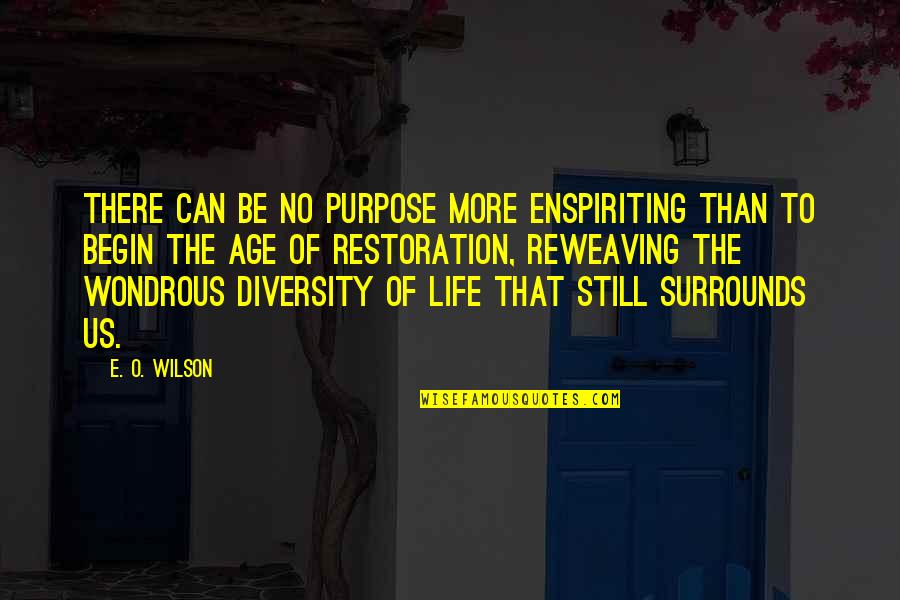Age Inspirational Quotes By E. O. Wilson: There can be no purpose more enspiriting than