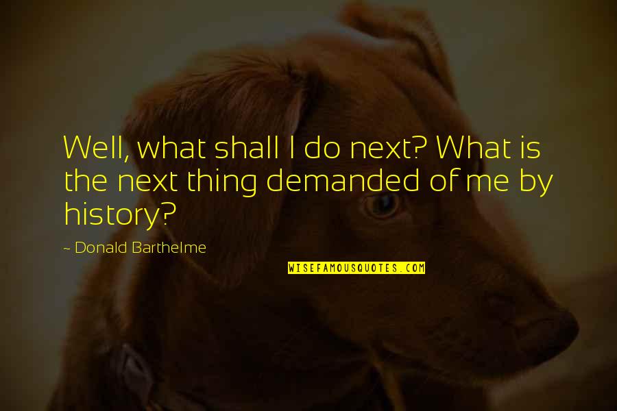 Age Nobility Wisdom Quotes By Donald Barthelme: Well, what shall I do next? What is