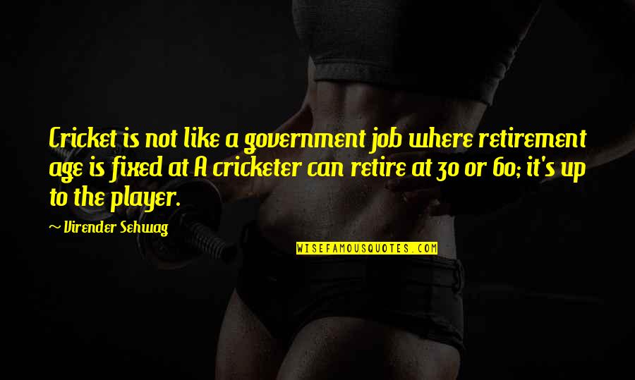Age Of 30 Quotes By Virender Sehwag: Cricket is not like a government job where