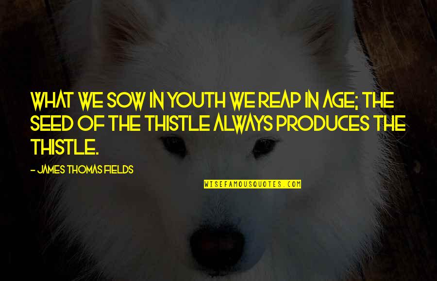 Age Of Youth Quotes By James Thomas Fields: What we sow in youth we reap in