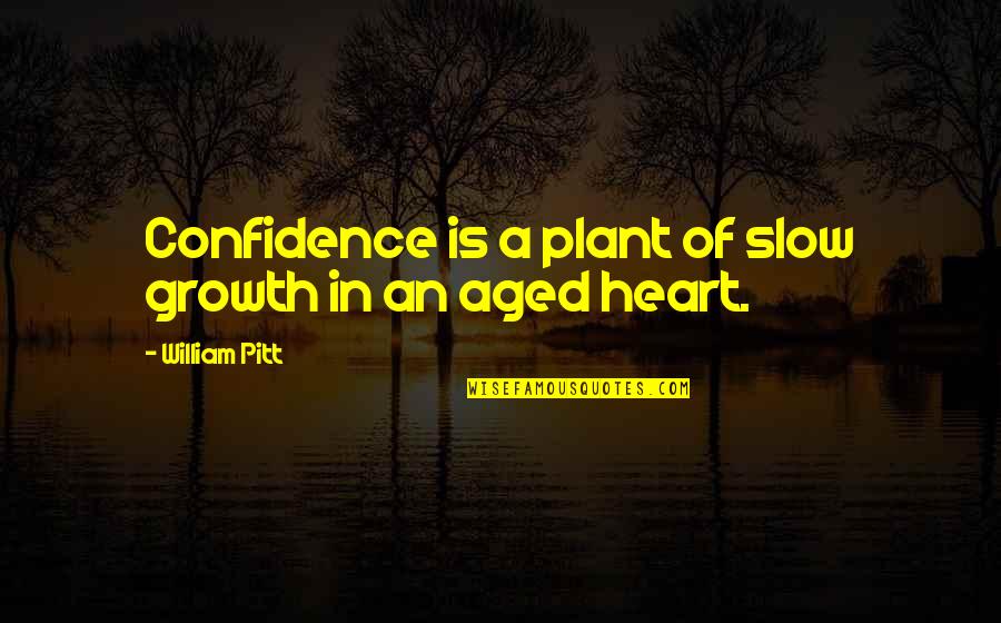 Aged Quotes By William Pitt: Confidence is a plant of slow growth in