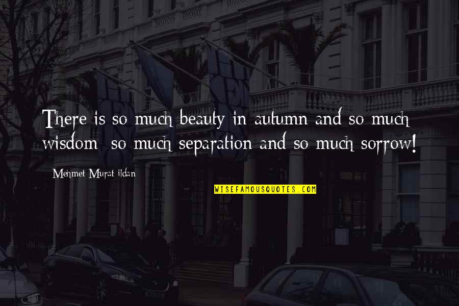 Aged To Perfection Birthday Quotes By Mehmet Murat Ildan: There is so much beauty in autumn and
