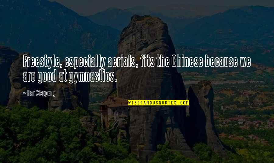 Agees Gym Quotes By Han Xiaopeng: Freestyle, especially aerials, fits the Chinese because we