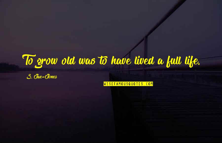 Ageing Quotes By S. Jae-Jones: To grow old was to have lived a