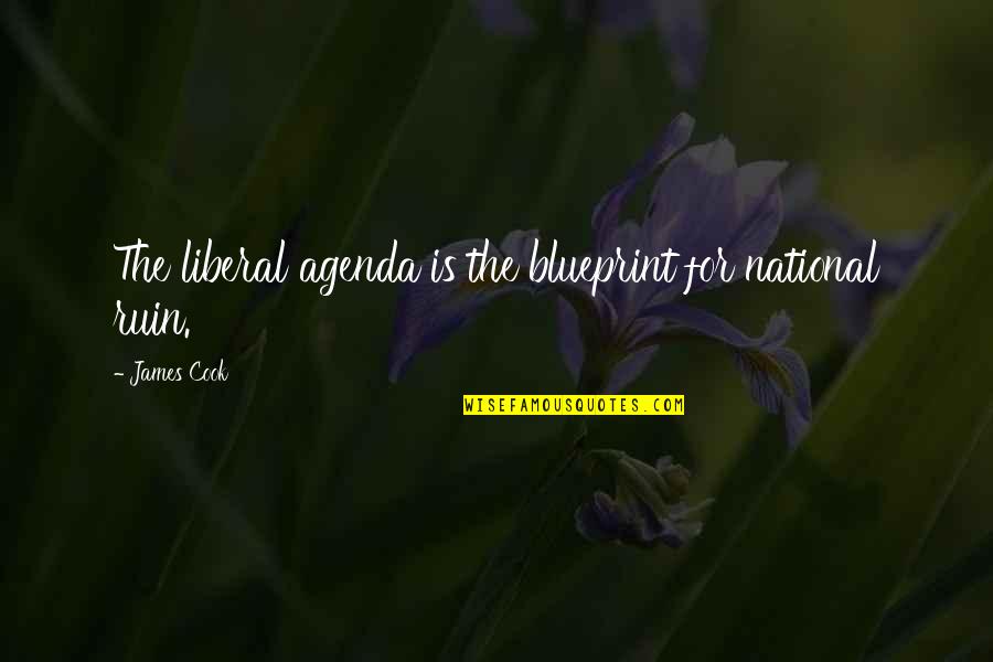 Agenda Quotes By James Cook: The liberal agenda is the blueprint for national