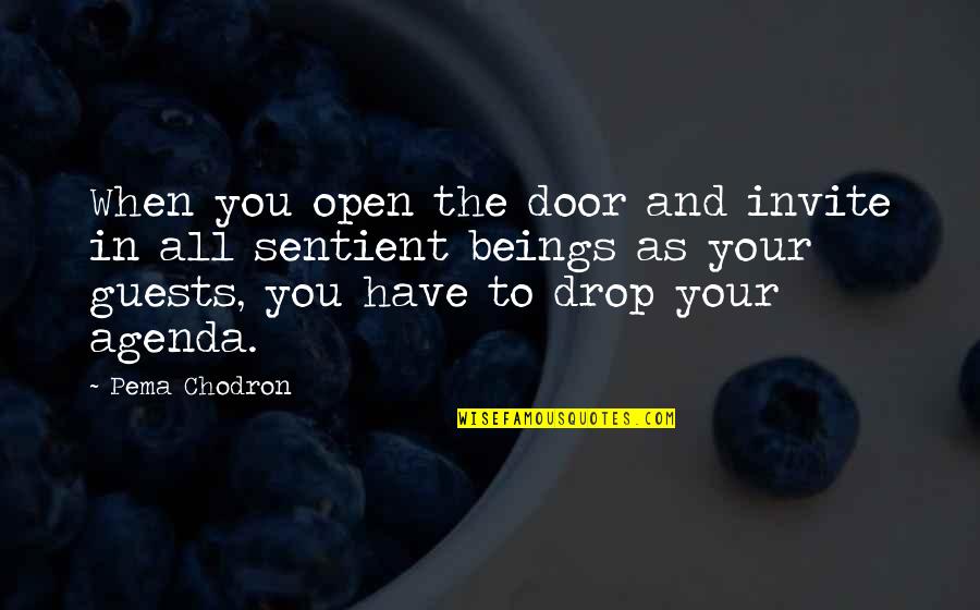 Agenda Quotes By Pema Chodron: When you open the door and invite in