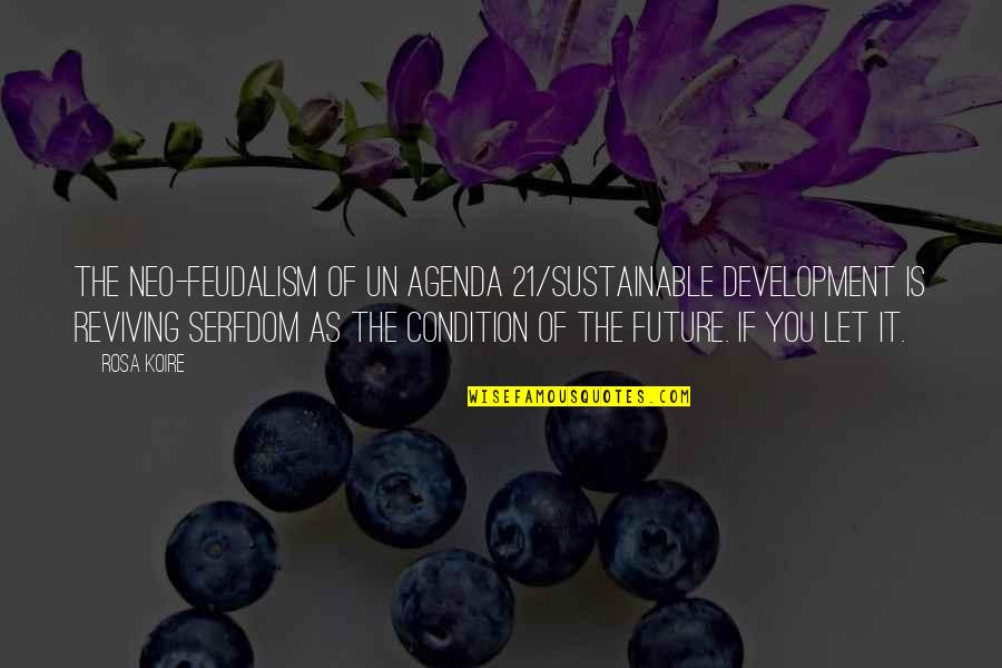 Agenda Quotes By Rosa Koire: The Neo-Feudalism of UN Agenda 21/Sustainable Development is