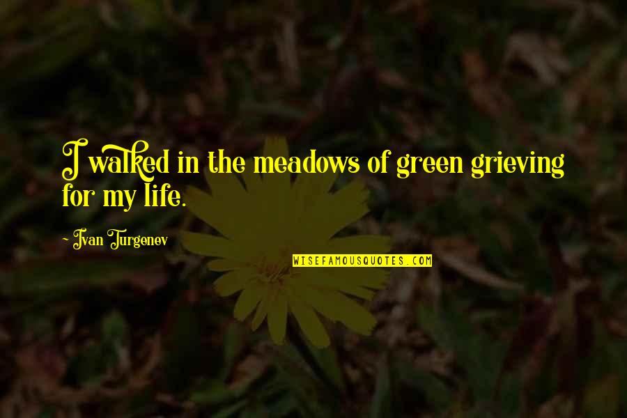Agents Smith Quotes By Ivan Turgenev: I walked in the meadows of green grieving