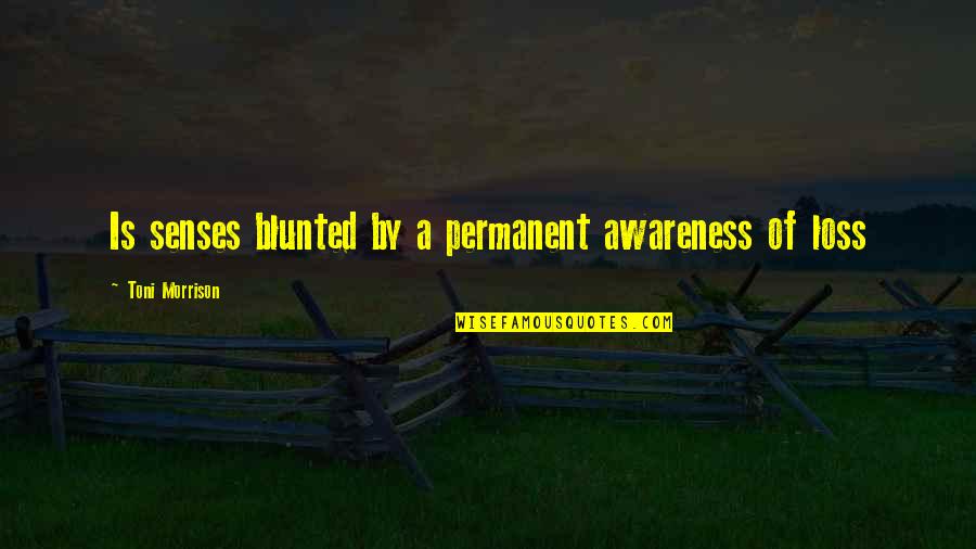 Aggabao Family Quotes By Toni Morrison: Is senses blunted by a permanent awareness of Aggabao Family Quotes By Toni Morrison: Is senses blunted by a permanent awareness of