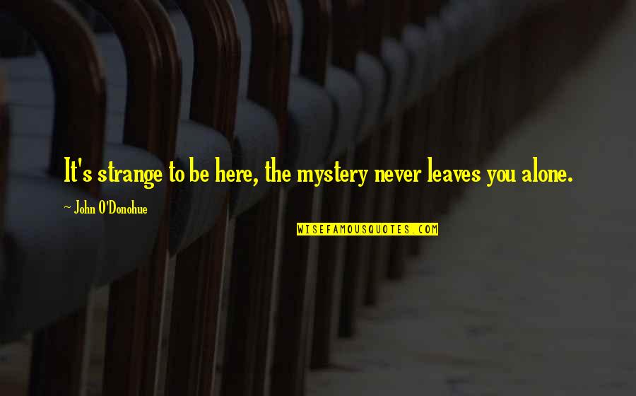 Aggelatos Quotes By John O'Donohue: It's strange to be here, the mystery never