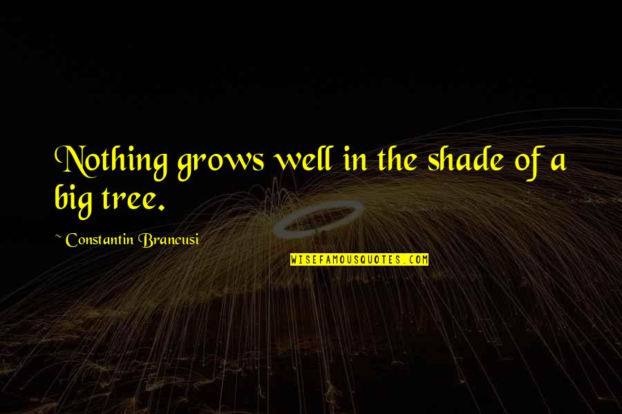 Aggelis A T Ta Quotes By Constantin Brancusi: Nothing grows well in the shade of a