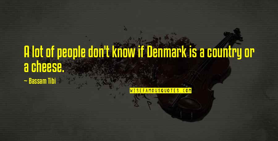 Aggi Quotes By Bassam Tibi: A lot of people don't know if Denmark