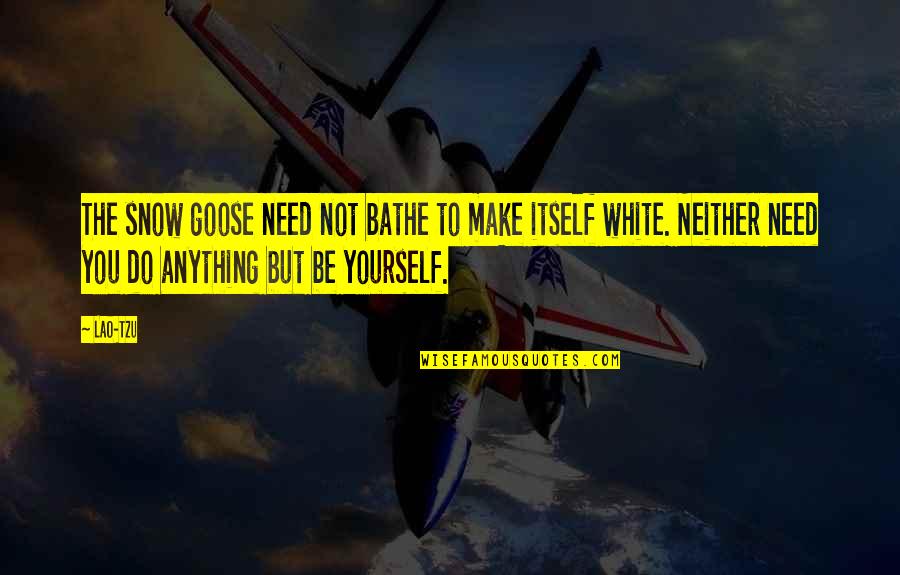 Aggie Ring Dunk Quotes By Lao-Tzu: The snow goose need not bathe to make Aggie Ring Dunk Quotes By Lao-Tzu: The snow goose need not bathe to make