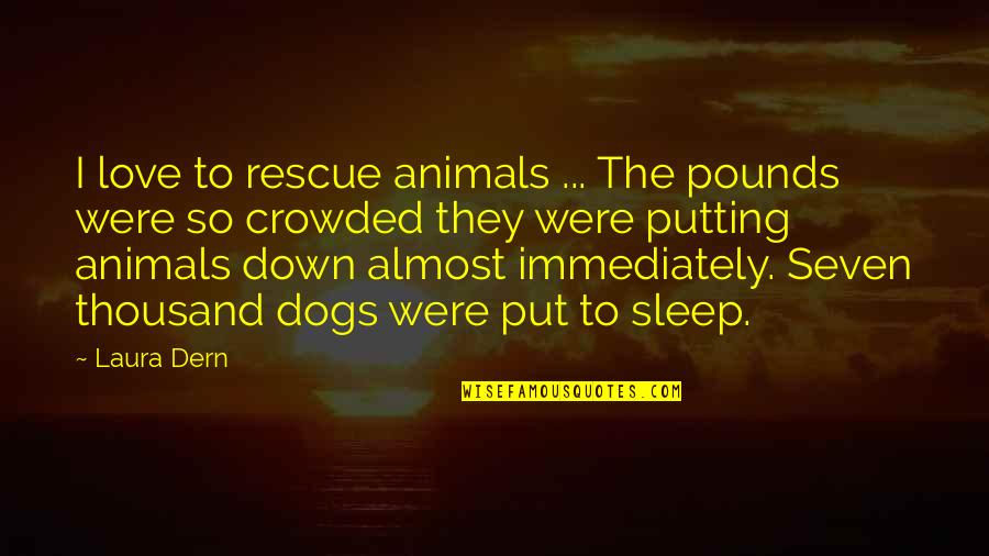 Aggies 247 Quotes By Laura Dern: I love to rescue animals ... The pounds