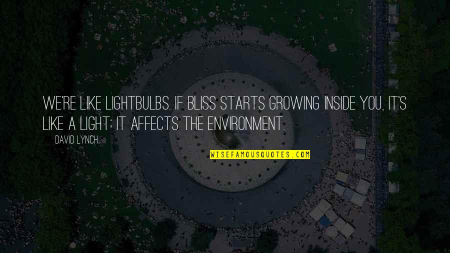 Aggrandizes Quotes By David Lynch: We're like lightbulbs. If bliss starts growing inside