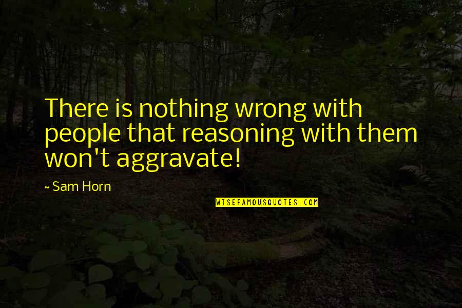 Aggravate Quotes By Sam Horn: There is nothing wrong with people that reasoning