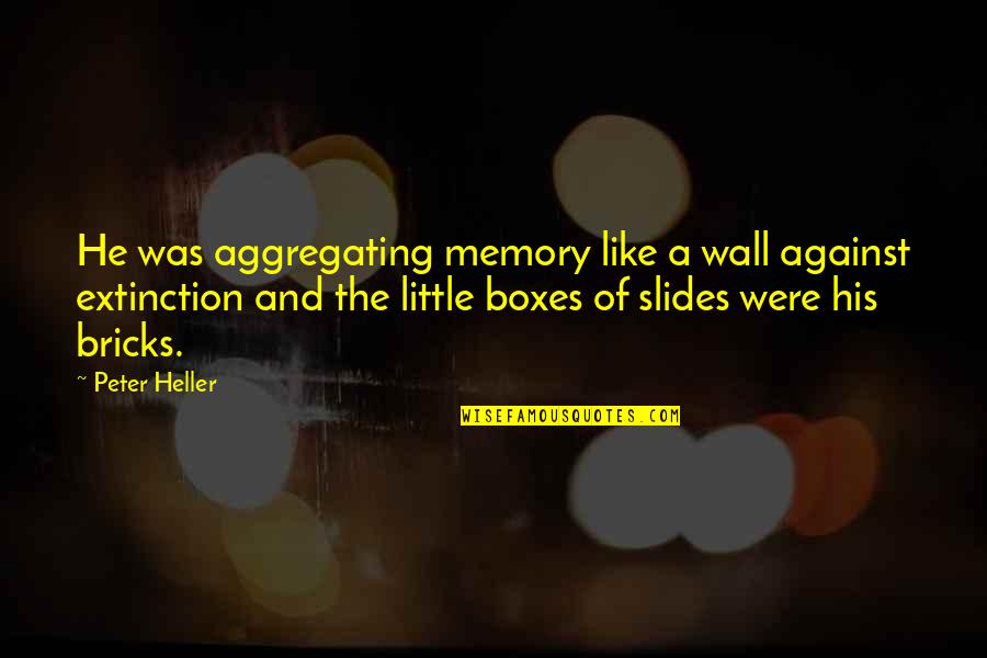 Aggregating Quotes By Peter Heller: He was aggregating memory like a wall against