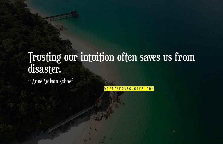 Agguato In Inglese Quotes By Anne Wilson Schaef: Trusting our intuition often saves us from disaster. Agguato In Inglese Quotes By Anne Wilson Schaef: Trusting our intuition often saves us from disaster.