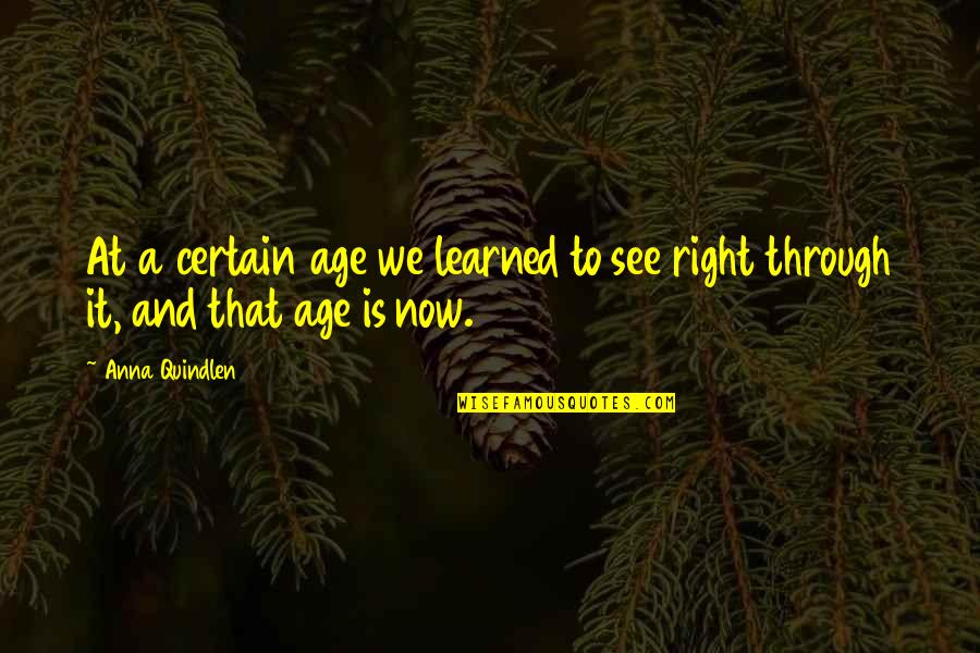 Aging And Beauty Quotes By Anna Quindlen: At a certain age we learned to see