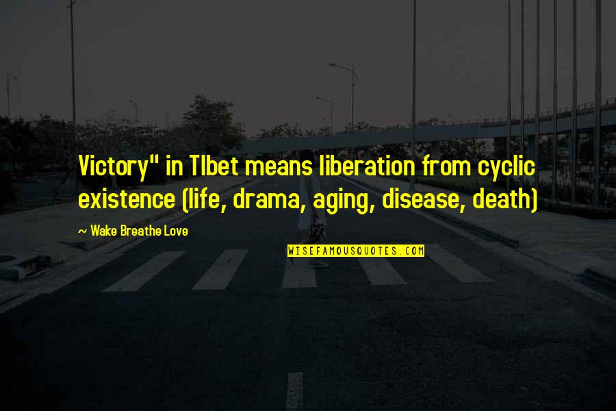 Aging And Death Quotes By Wake Breathe Love: Victory" in TIbet means liberation from cyclic existence