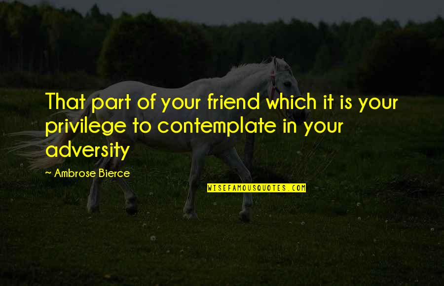 Aging Wisely Quotes By Ambrose Bierce: That part of your friend which it is