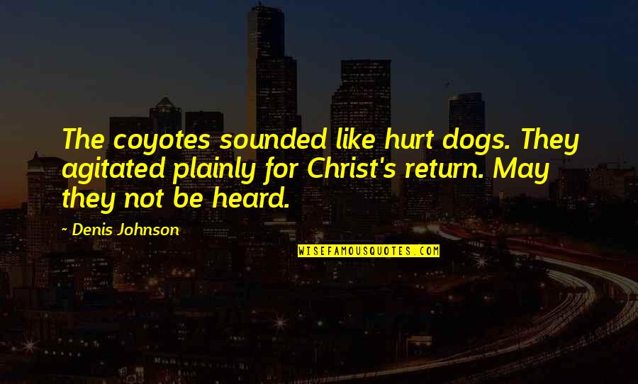 Agitated Quotes By Denis Johnson: The coyotes sounded like hurt dogs. They agitated