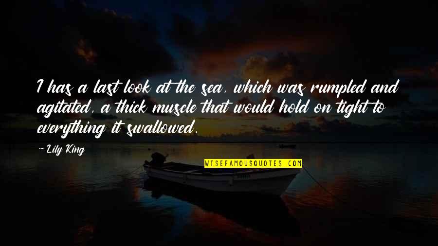 Agitated Quotes By Lily King: I has a last look at the sea,