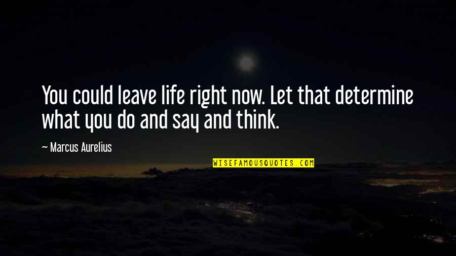 Agiter Avant Quotes By Marcus Aurelius: You could leave life right now. Let that