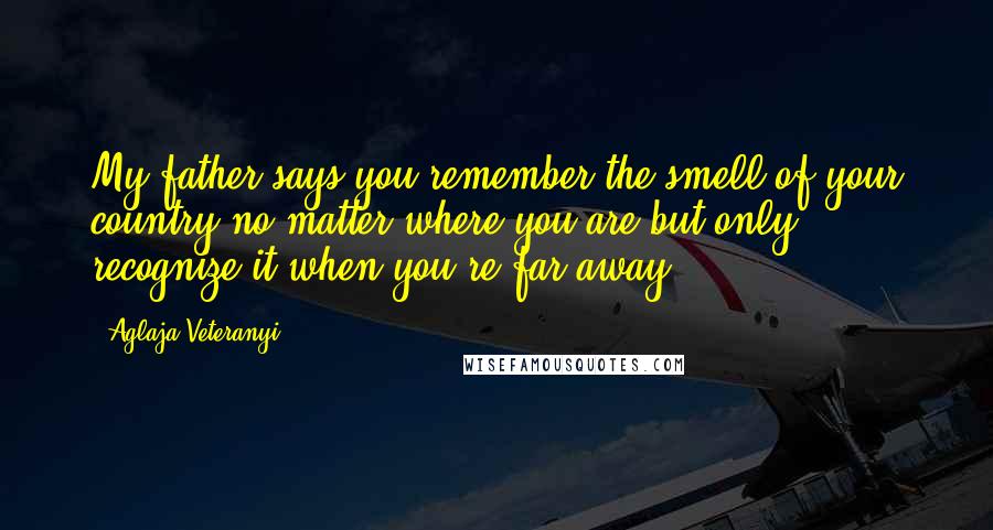 Aglaja Veteranyi quotes: My father says you remember the smell of your country no matter where you are but only recognize it when you're far away.