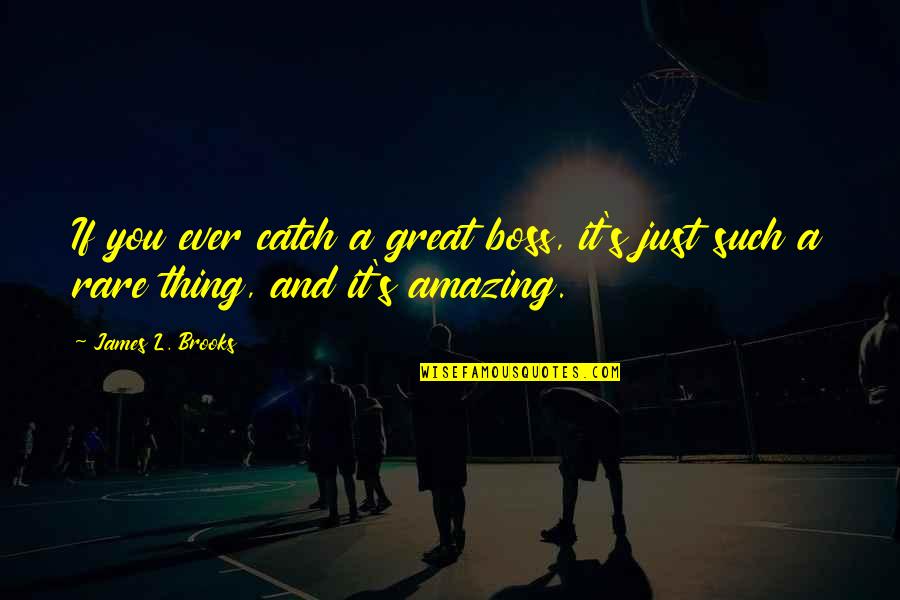 Aglaureion Quotes By James L. Brooks: If you ever catch a great boss, it's