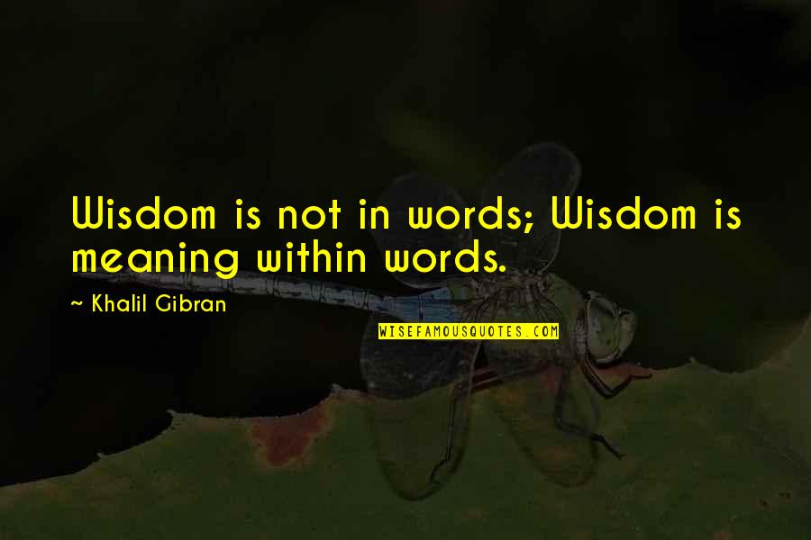 Aglia Quotes By Khalil Gibran: Wisdom is not in words; Wisdom is meaning