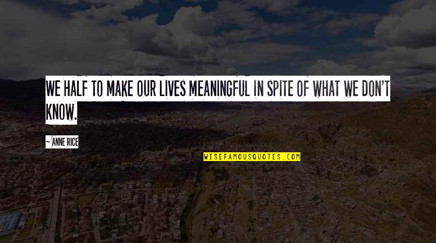 Agnes Burial Rites Quotes By Anne Rice: We half to make our lives meaningful in
