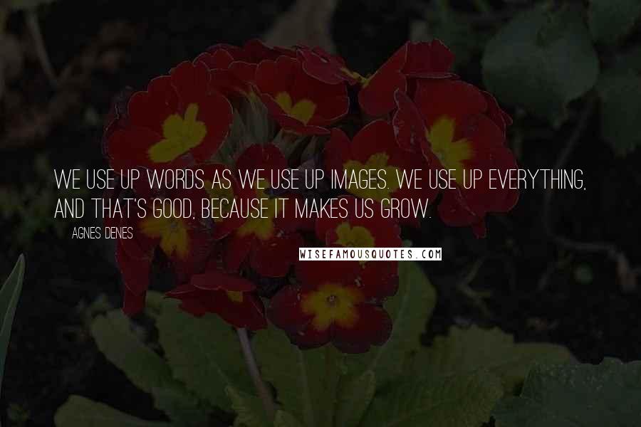 Agnes Denes quotes: We use up words as we use up images. We use up everything, and that's good, because it makes us grow.