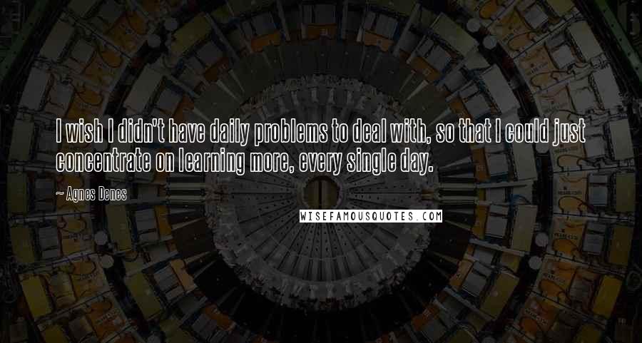 Agnes Denes quotes: I wish I didn't have daily problems to deal with, so that I could just concentrate on learning more, every single day.