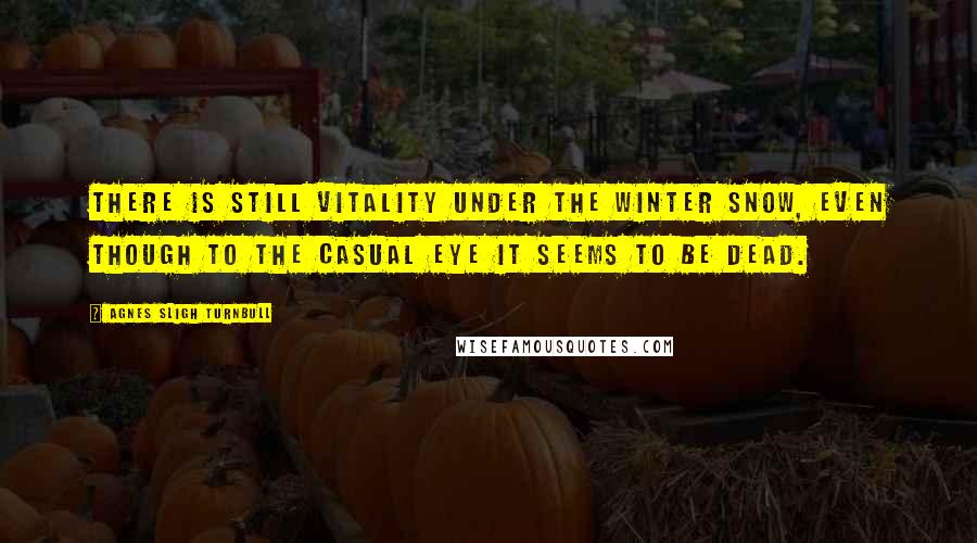 Agnes Sligh Turnbull quotes: There is still vitality under the winter snow, even though to the casual eye it seems to be dead.